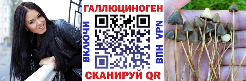 как найти закладки  Строитель  Галлюциногенные грибы прущие грибы 