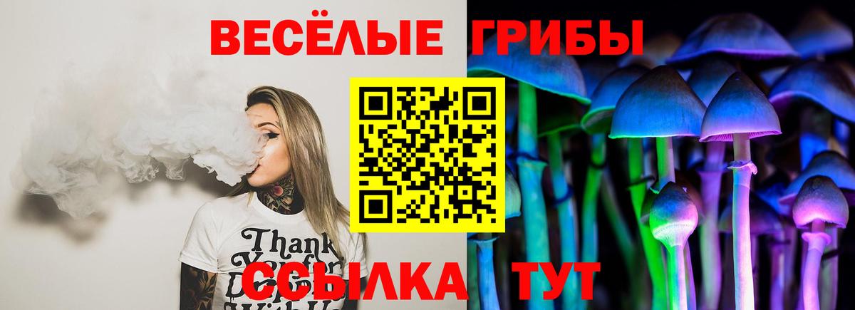 Галлюциногенные грибы мицелий  Вход с VPN  Строитель 