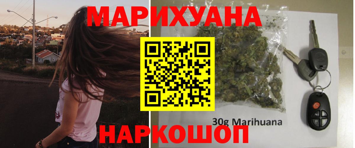 Шишки марихуана планчик  Вход с VPN  Бошки марихуана OG Kush  Строитель  Бошки Шишки Bruce Banner 